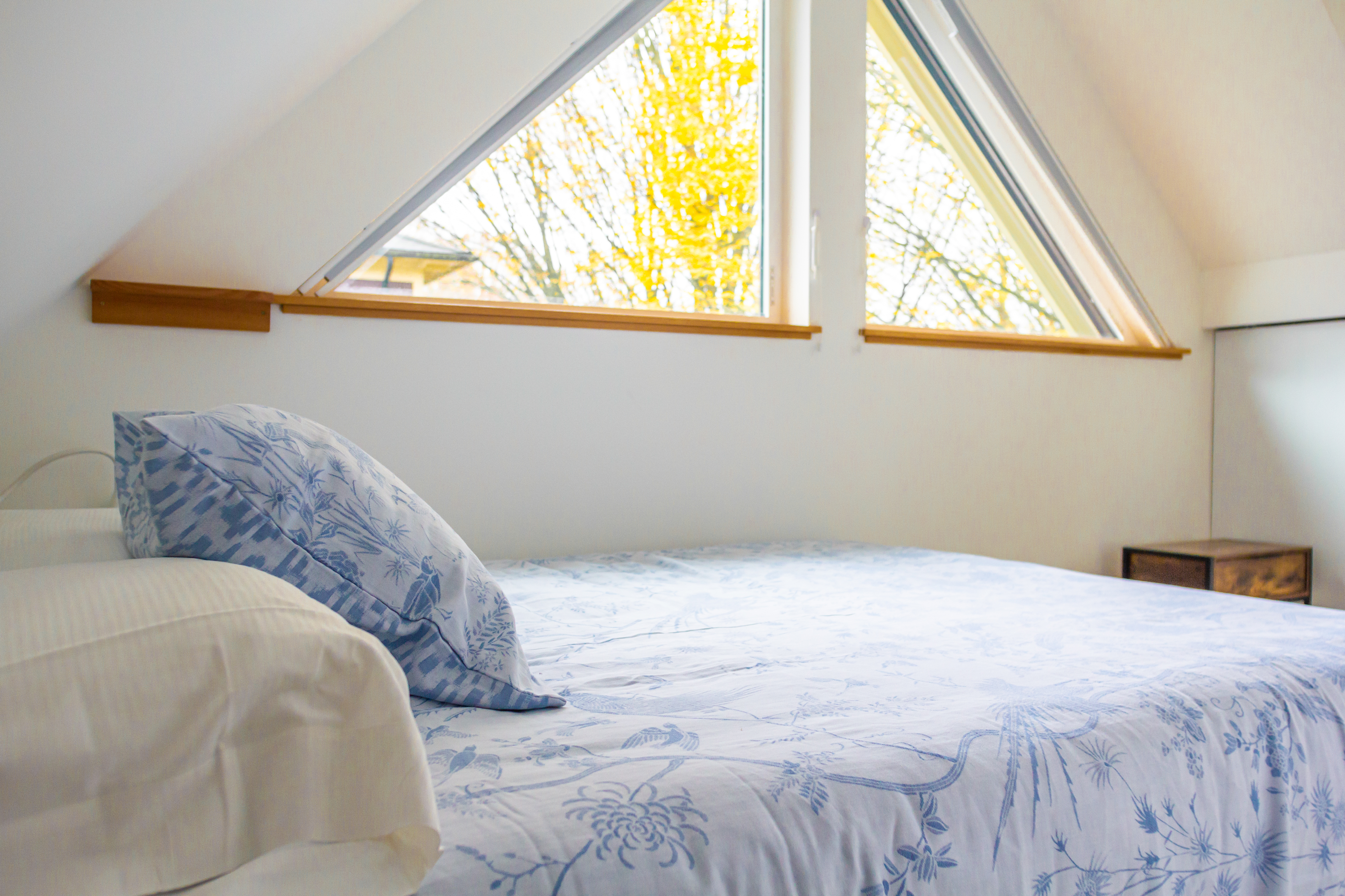 Bedroom with triangular windows